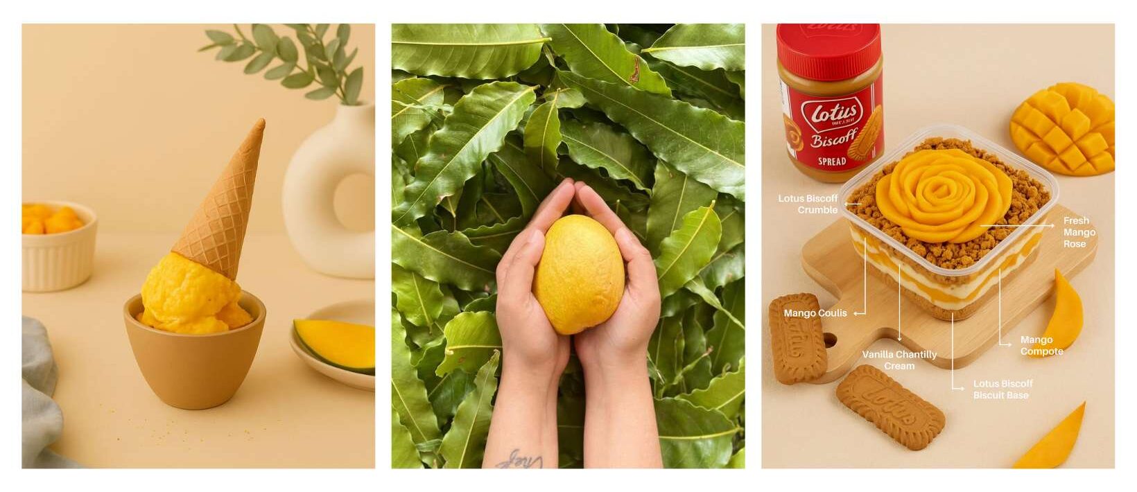 Untitled design (36)